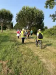 IMG_4882.jpeg