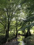 IMG_4887.jpeg
