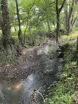 IMG_4890.jpeg