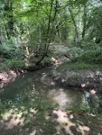 IMG_4893.jpeg