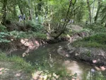 IMG_4894.jpeg
