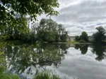 IMG_4676.jpeg