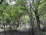 IMG_4629.jpeg