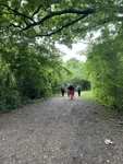 IMG_4630.jpeg
