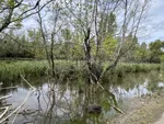 IMG_4636.jpeg