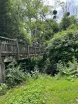 IMG_4652.jpeg