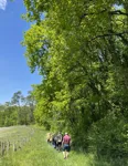IMG_4440.jpeg