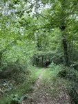 IMG_4490.jpeg
